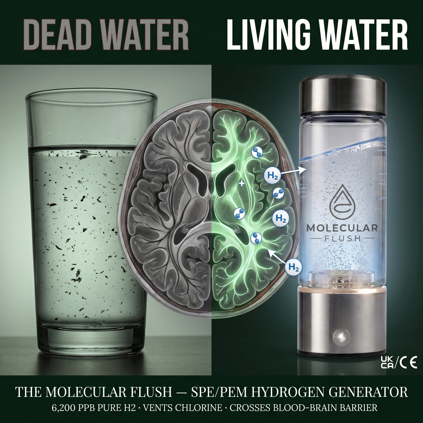 The Molecular Flush™ Premium